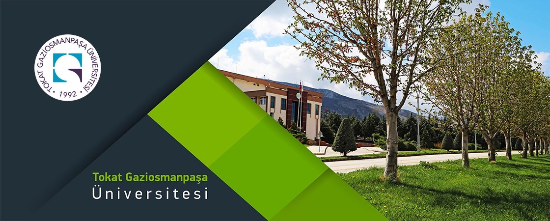 The Lecturer Training Program