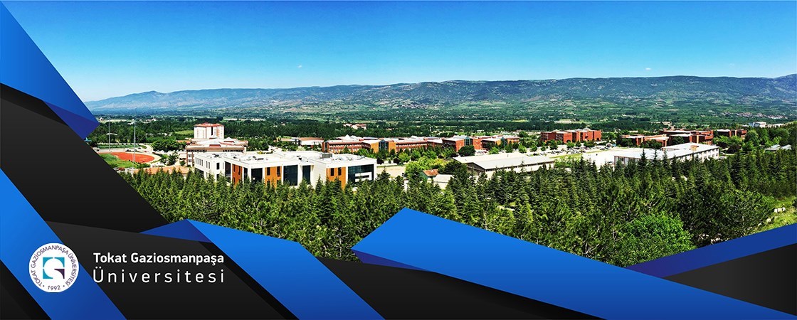 The Lecturer Training Program